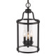 Payton Three Light Pendant (1157-3P BLK)