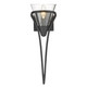 Golden - 1648-1W BLK-CLR - One Light Wall Sconce - Olympia - Matte Black