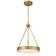 Cameron LED Pendant (1700-17 BCB-EG)