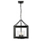 Smyth Three Light Chandelier (2073-M3 BLK-CLR)