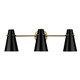 Reeva Three Light Bath Vanity (2122-BA3 MBS-BLK)