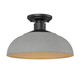Levitt One Light Outdoor Semi-Flush Mount (2866-OSF NB-NG)
