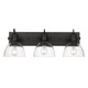 Hines Three Light Bath Vanity (3118-BA3 BLK-CLR)