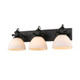 Hines Three Light Bath Vanity (3118-BA3 BLK-OP)