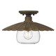 Clemence One Light Flush Mount (3124-FM DR-CLR)