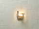 Aenon One Light Wall Sconce (3164-1W PW-HWG)