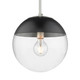 Golden - 3219-L PW-BLK - One Light Pendant - Dixon - Pewter