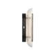 Plexus LED Outdoor Wall Mount (5910-OWL13 BLK)