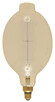 Light Bulb (S2432)