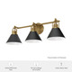 Carrington Isle Three Light Vanity (13169)