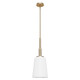 Hunter - 19886 - One Light Pendant - Nolita - Alturas Gold