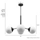 Hepburn Four Light Chandelier (19893)