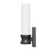 Lenlock One Light Wall Sconce (19903)