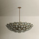 Troy Lighting - F5240-PBR - 14 Light Chandelier - Wassama - Patina Brass