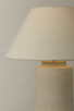 Acker One Light Table Lamp (PTL1722-PBR)