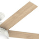 Anslee 52" Ceiling Fan (50231)