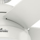 Anslee 52" Ceiling Fan (50231)