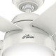 Anslee 52" Ceiling Fan (50231)