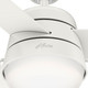 Aker 52" Ceiling Fan (50378)