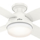 Dempsey 44" Ceiling Fan (50399)