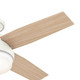 Dempsey 44" Ceiling Fan (50399)