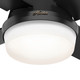 Dempsey 44" Ceiling Fan (50400)
