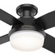 Dempsey 44" Ceiling Fan (50400)