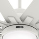 Overton 60" Ceiling Fan (50720)