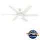 Sotto 52" Ceiling Fan (50977)