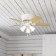 Builder 42" Ceiling Fan (51090)