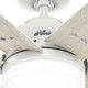 Pacer 44" Ceiling Fan (51205)