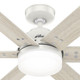 Pacer 44" Ceiling Fan (51205)