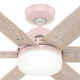 Pacer 44" Ceiling Fan (51207)