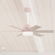 Pacer 44" Ceiling Fan (51207)