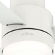 Gilmour 44" Ceiling Fan (51334)