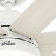 Phenomenon 60" Ceiling Fan (51375)