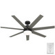 Phenomenon 60" Ceiling Fan (51376)