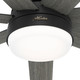 Phenomenon 60" Ceiling Fan (51376)
