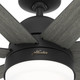 Phenomenon 60" Ceiling Fan (51376)