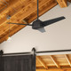 Trimaran 52" Ceiling Fan (51481)