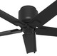 Terrace Cove 44" Ceiling Fan (51581)