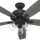Dondra 60" Ceiling Fan (51614)