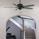 Dondra 60" Ceiling Fan (51614)