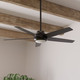 Zayden 52" Ceiling Fan (51694)