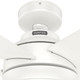 Zayden 52" Ceiling Fan (51697)