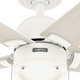 Erling 44" Ceiling Fan (51708)