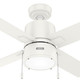 Beck 42" Ceiling Fan (51743)