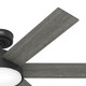 Donatella 52" Ceiling Fan (51853)