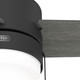 Brunner 52" Ceiling Fan (51949)