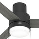 Brunner 52" Ceiling Fan (51949)